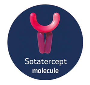 Sotatercept molecule